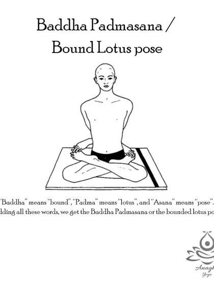 Baddha Padmasana (Bound Lotus Pose) is an advanced posture that boosts spinal agility, fortifies leg muscles, and aids in digestion.
