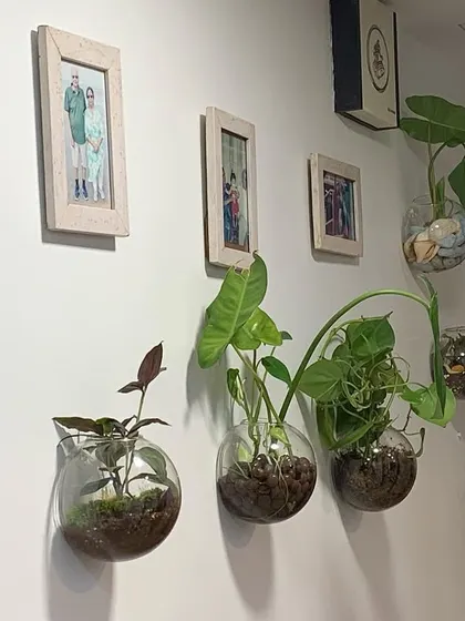 Here is how my glass bubble wall planters can transform a hallway into a green gallery. These open terrariums are perfect for small spaces and can be arranged in any pattern you like. I’ve used a mix of soil-based and water-propagated plants here to create a varied and dynamic display.
