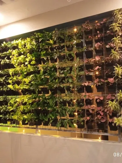 A full view of a lush vertical garden we installed. The different shades of green and pink from the plants create a dynamic and visually interesting feature wall.