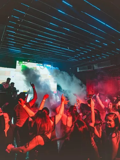 The crowd with their hands in the air, surrounded by smoke and lights. This is the peak moment of collective energy on the dance floor.