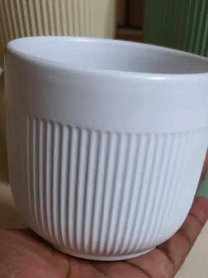 A close-up of our small, white ceramic pot with a ribbed texture. This is a popular choice for small desk plants or for creating a uniform look with multiple pots.