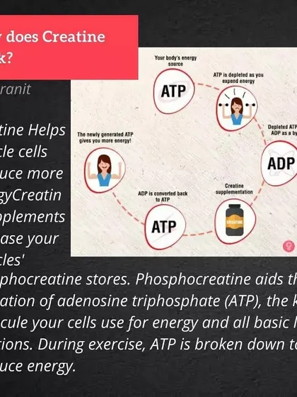 How does Creatine work? It increases your muscles' phosphocreatine stores, which helps create more ATP, the key energy molecule for your cells.