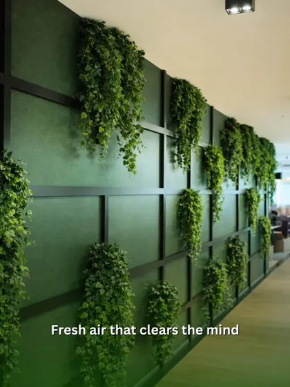 This is an example of a simple yet effective green wall I designed. Using trailing plants like Pothos on a dark, paneled wall creates a dramatic visual effect and contributes to cleaner, fresher air for the entire floor.