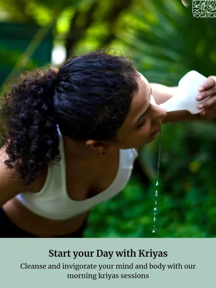 On my retreats, we often start the day with Kriyas, or cleansing techniques like Jala Neti, to invigorate the mind and body.