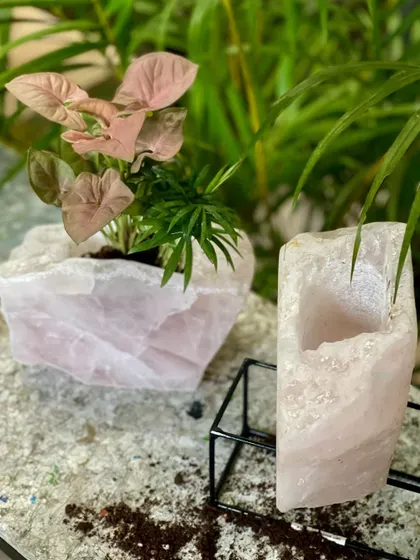 A pair of rose quartz crystal planters, perfect for holding small plants or air plants. Rose quartz is known for its loving energy, making these a wonderful addition to any space.