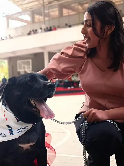 A participant at a college pet show interacting with a happy black dog wearing a Zigly bandana.