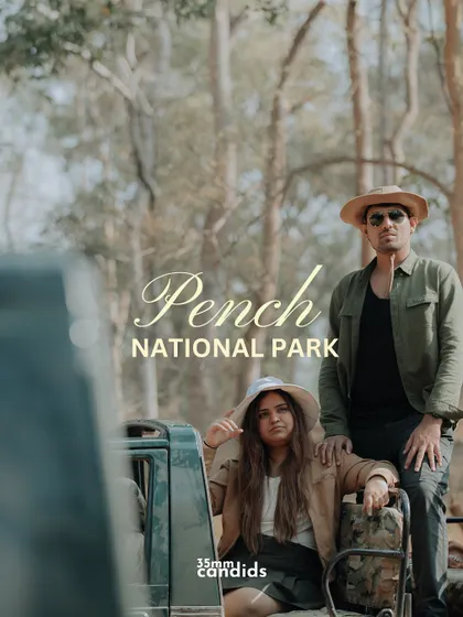 For the couple that finds romance in adventure, a pre-wedding shoot in the untamed wilderness of Pench National Park. We traded palaces for towering trees and found a love story that was wild, free, and completely their own.