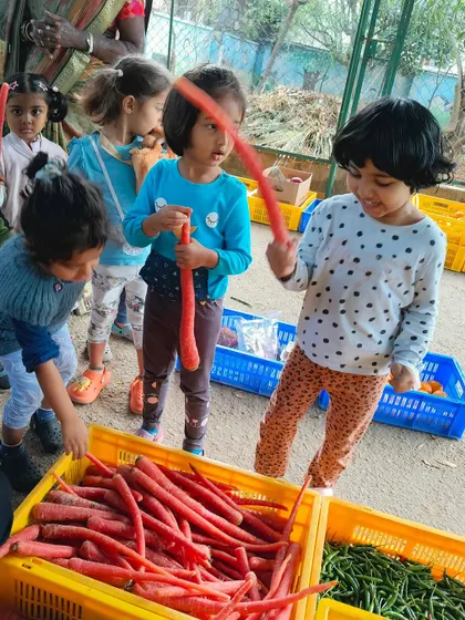 A visit to the local market is a practical learning experience. The children were fascinated by the bright red carrots, learning about fresh produce and where our food comes from.
