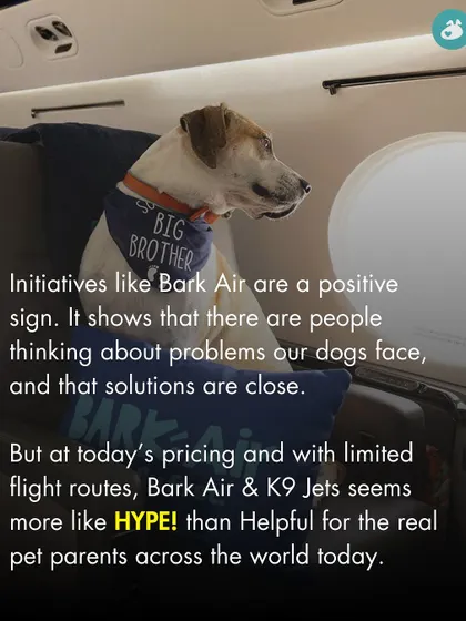 Our verdict: While initiatives like Bark Air are a positive sign, at today's pricing and with limited routes, it remains more hype than helpful for the average pet parent.