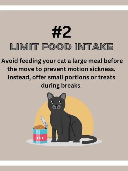 Cat Relocation Tip: Avoid feeding your cat a large meal before travel to prevent motion sickness. Small treats during breaks are a better option.
