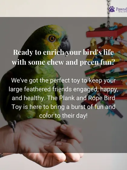 Ready to enrich your bird's life? Our Plank and Rope Bird Toy is designed to keep large feathered friends engaged, happy, and healthy with its colorful, chewable, and non-toxic materials.