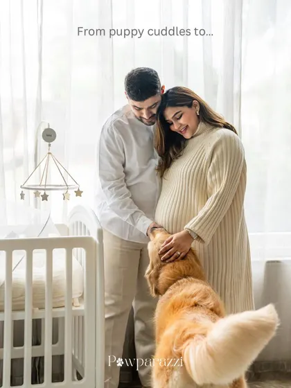 An expecting couple stands by a crib as their golden retriever, Hugo, looks on, anticipating the new arrival.