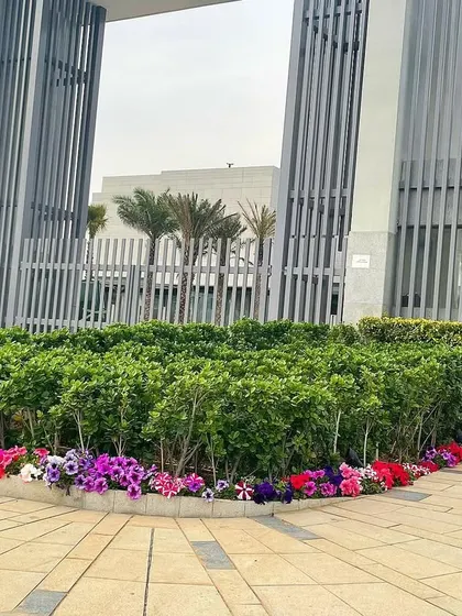 At the entrance of this modern complex, I designed and installed neat hedges and vibrant seasonal flower beds. This creates a powerful first impression and adds a welcoming splash of color to the property.