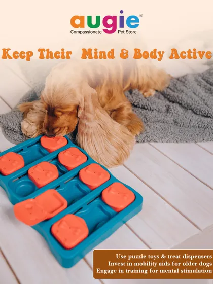 Keeping your dog's mind and body active is crucial for their health. I recommend using puzzle toys and treat dispensers to keep them mentally stimulated, especially on days when you can't get outside as much.