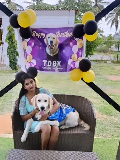 Toby looking dapper in his birthday outfit, posing with his human. We provide the perfect backdrop for you to capture these precious moments.