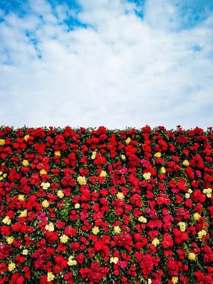 A bold floral wall of red and yellow roses stands out against a bright blue sky, creating a stunning photo opportunity for a daytime rooftop event.