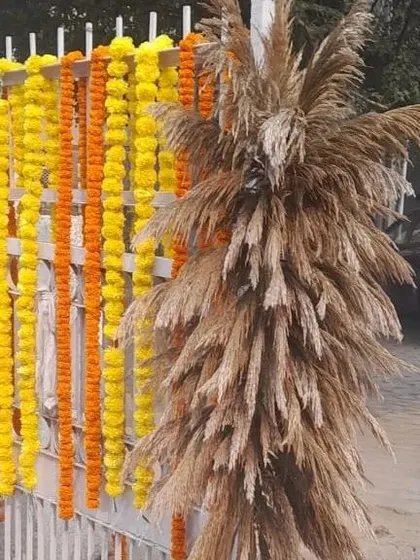 A close-up of a decor detail featuring pampas grass and marigold garlands, perfect for adding a rustic touch to an outdoor event.