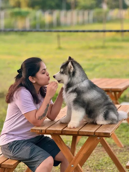 A sweet moment between an owner and a Husky puppy at one of our picnic tables.