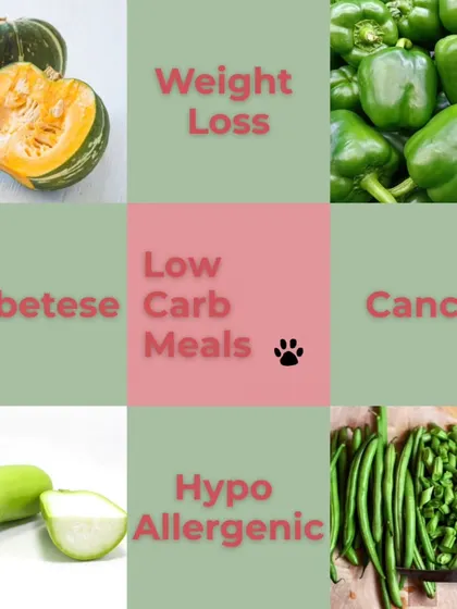 A visual guide to the best low-carb vegetables for special diets. Pumpkin, bottle gourd, capsicum, and green beans are excellent choices for dogs needing meals for weight loss, diabetes, or allergies.