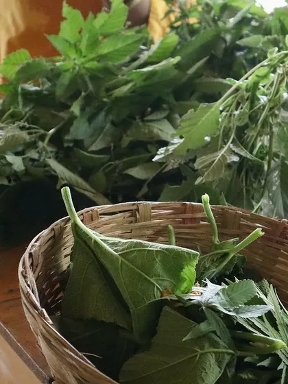 Baskets filled with foraged greens, ready to be washed and cooked. These were harvested during our Wild Food Walk and turned into a delicious, unique meal.