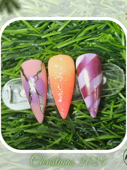 A collection of various nail art designs, from abstract and animal prints to delicate florals and 3D textures, all beautifully framed for the Christmas season.