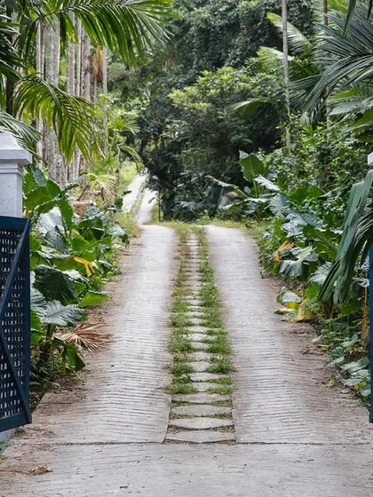 The entrance driveway to Jalakara, a path that leads you through lush jungle into the heart of the property.