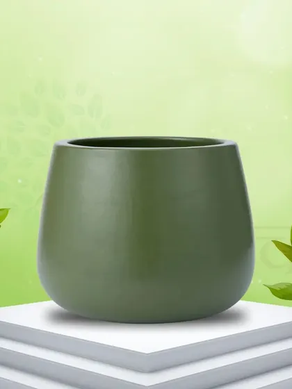 The Misa Terracotta Pot in this deep green matte finish offers a simple, minimalist design. It comes with a wooden tray and is perfect for any small to medium-sized plant.