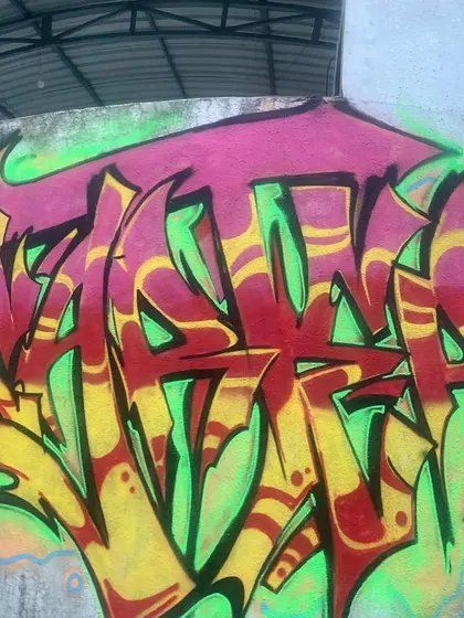 A slightly different angle of the same wildstyle piece, showing the texture of the wall and the way the paint covers it.