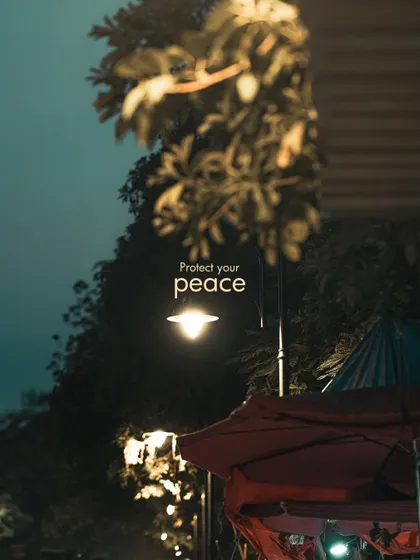 A street lamp illuminates the foliage at night, creating a peaceful and protected feeling. I look for these small pockets of light that create a specific mood.