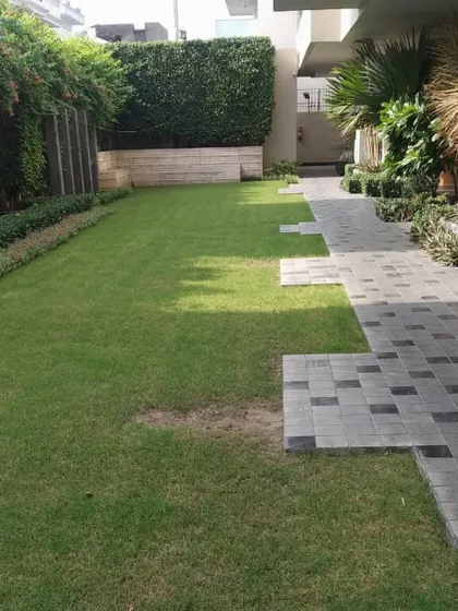 A freshly laid lawn next to a tiled walkway. The design incorporates geometric cutouts where the path and lawn intersect, adding a unique design detail to the garden.