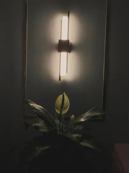 The same wall sconce at night, creating a dramatic and moody atmosphere. This shows how a single light fixture can completely transform a corner, highlighting the plant and creating beautiful shadows.