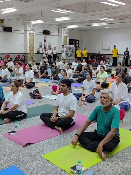 Another angle of our community in meditation. We welcome people of all ages and backgrounds to join us, creating a diverse and inclusive tribe of practitioners.