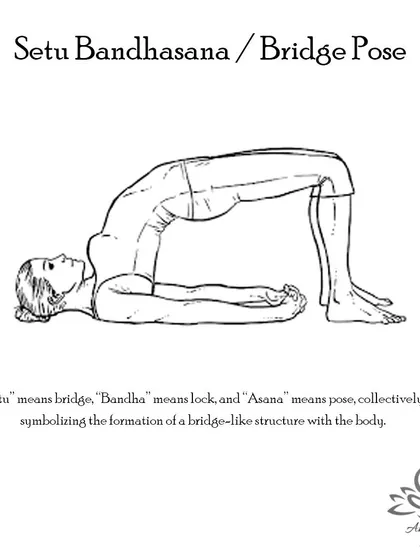 Setu Bandhasana (Bridge Pose) strengthens the back, opens the chest, and improves circulation. It's a versatile pose for both energy and relaxation.