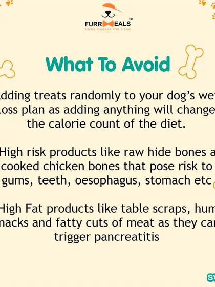 This collection of infographics and product shots provides a comprehensive guide to understanding, preventing, and managing dog obesity with my specialized diet plans and responsible treating tips.