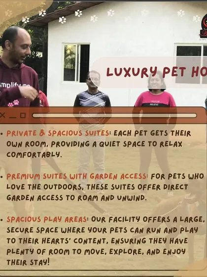 Our Luxury Pet Hotel in Rajanukunte offers private suites, some with direct garden access, and large, secure play areas for pets to explore and enjoy.