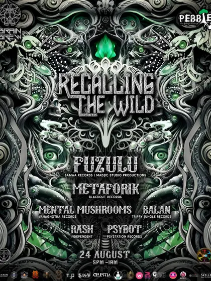 The poster for 'Recalling the Wild', where I shared the lineup with Fuzulu. These events bring some of the best global psytrance talent to Bangalore.