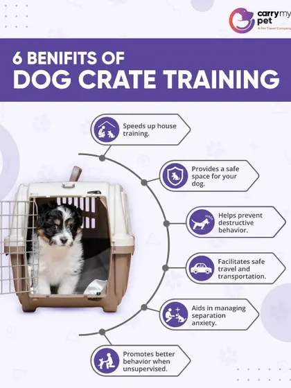 This infographic details six key benefits of dog crate training, from speeding up house training to providing a safe space and facilitating travel.