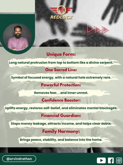 This image details the unique benefits of the Nag Rudraksha. It removes fear and inner unrest, acts as a financial guardian to stop money leakage, and brings peace and stability into the home.