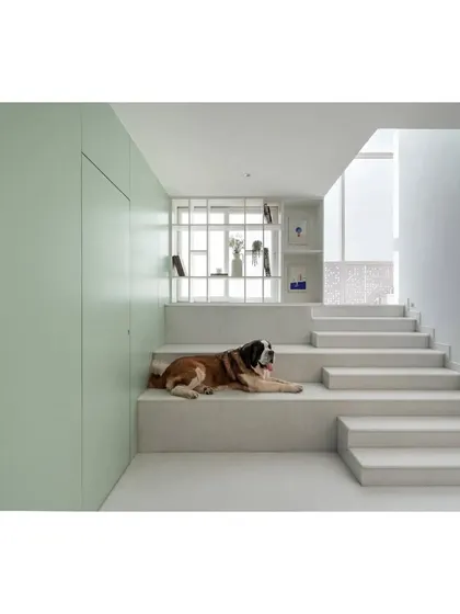 The stairwell in the House Above The Tree is designed as a social space, with wide steps that invite lounging. A soft green wall of concealed storage adds a calming block of color, while the open design maintains a sense of light and spaciousness. Our client's dog, a beloved family member, has claimed it as a favorite spot.