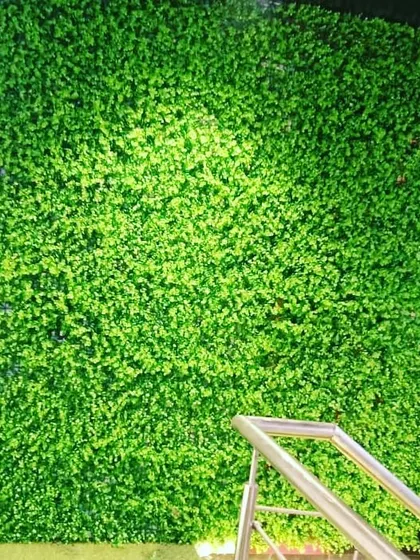 A straight-on shot of the dense green wall, showing how it provides a clean and vibrant look that requires zero maintenance.