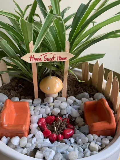 It's all about the little details. This miniature garden setup, complete with tiny chairs and a campfire, shows how you can add a touch of whimsy and personality to your plants.