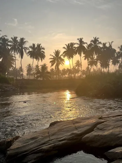 The sun reflecting on the water, creating a path of golden light. This is the kind of image I would love to paint.
