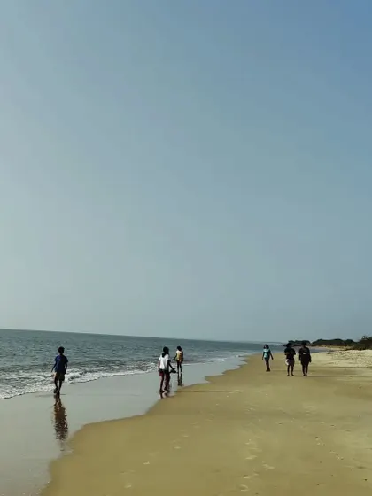 A walk along the beach is a lesson in geology, biology, and mindfulness. Children discover the stories told by the sand, the shells, and the rhythm of the waves.
