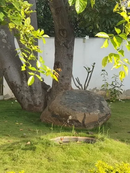 I believe in working with the natural elements on site. Here, a large existing rock is integrated into the lawn and sits at the base of a tree, becoming a natural sculpture and seating spot.
