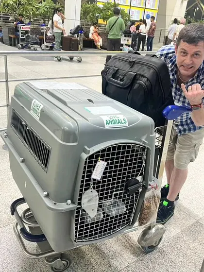 A happy client with his pet safely secured in a travel crate on an airport trolley. We manage the logistics so you can focus on the excitement of your move.