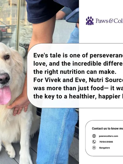 Eve's story is a testament to how the right nutrition can change a pet's life. For her and Vivek, it was the key to a happier, healthier future.