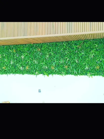 This long green wall was installed below a wooden slat ceiling. It provides a nice contrast of natural textures and is a good solution for long hallways or reception areas.