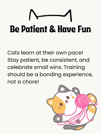 The most important thing is to be patient and have fun. Training should be a bonding experience, not a chore. Celebrate every small win.