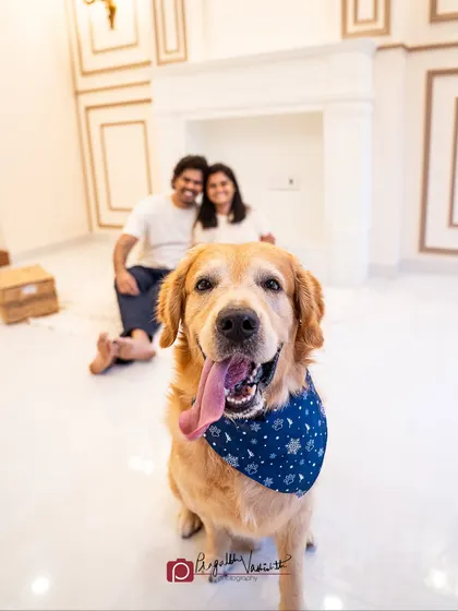 Happy the Golden Retriever, front and center, with his loving family smiling behind him. This was a special session to create lasting memories.