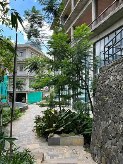Here, a pathway winds between a traditional stone wall and a modern building facade, with trees and plants softening the edges of both. This demonstrates how landscape can unite different architectural styles.